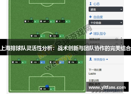 上海排球队灵活性分析：战术创新与团队协作的完美结合